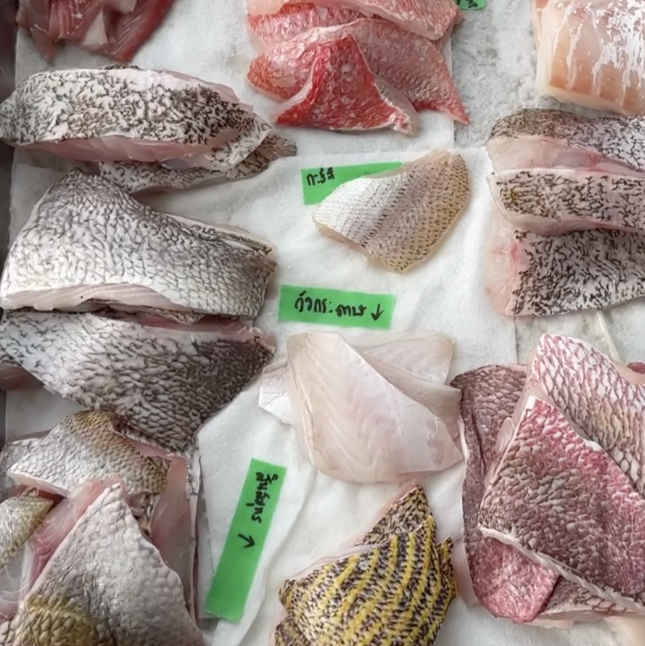 Wild Trevally Fillet (270-300g)
